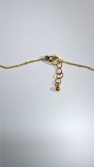 InSect - Gray Porcelain Moth - Close-winged