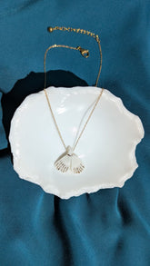 Porcelain Moth