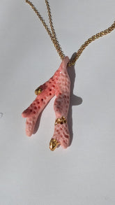 Pink Porcelain Coral