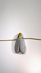 Looks Like Porcelain Supposed to Fly - but it Will Not