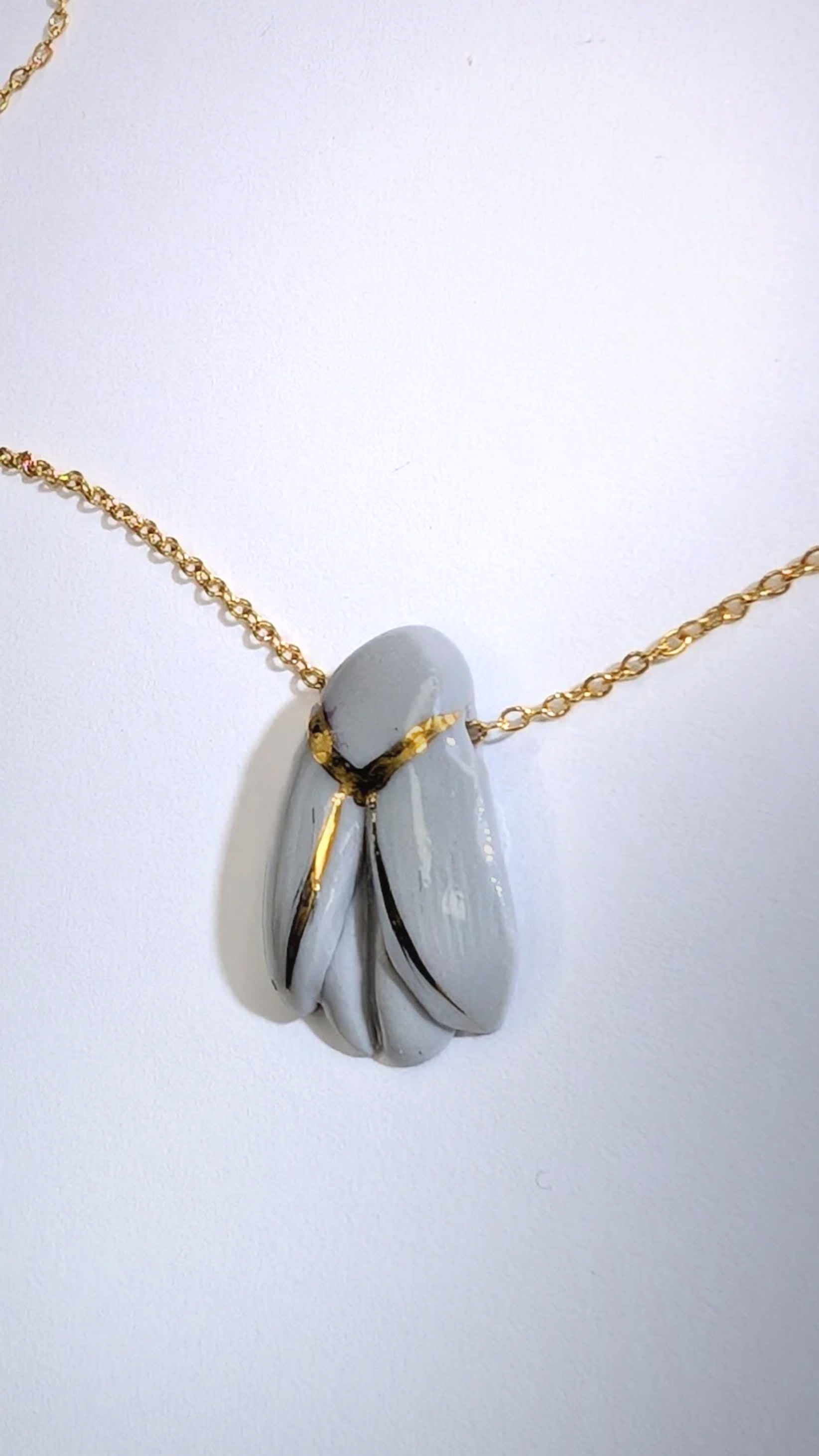 InSect - Gray Porcelain Moth - Close-winged