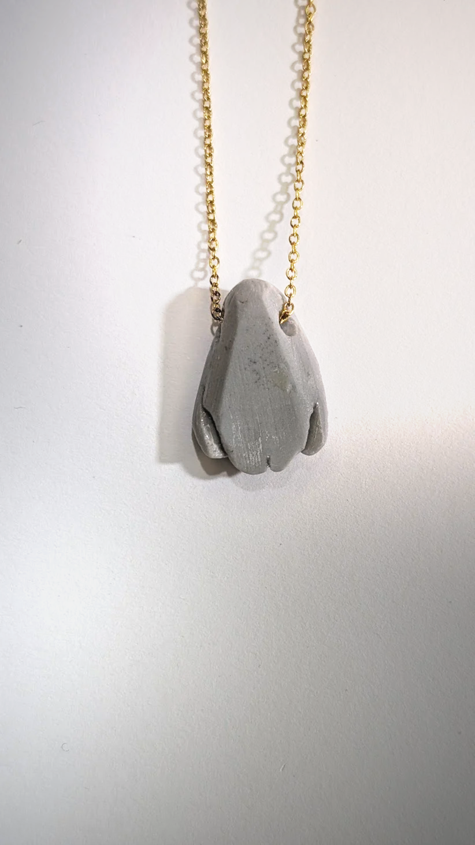 InSect - Gray Porcelain Moth - Close-winged