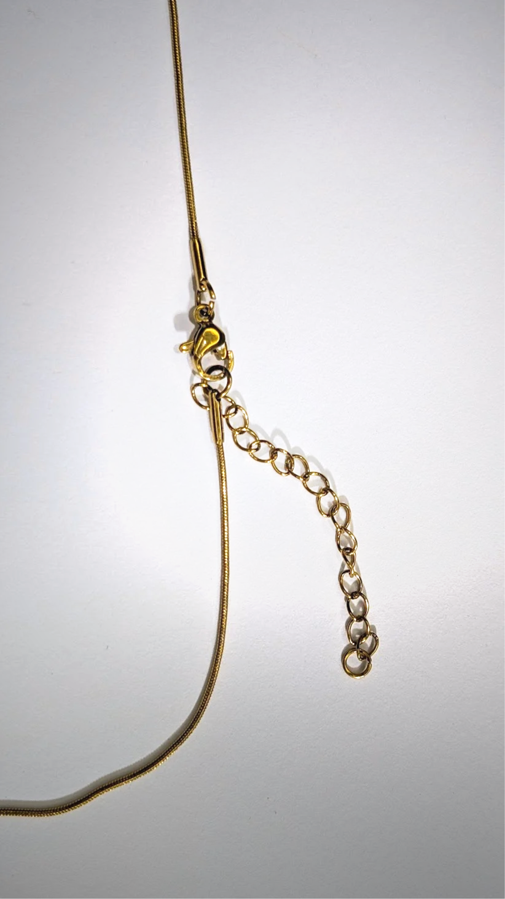 Looks Like Porcelain Supposed to Fly - but it Will Not