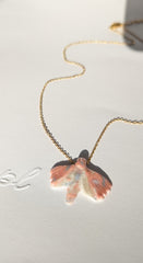 Pink Moth