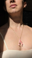 Pink Porcelain Coral