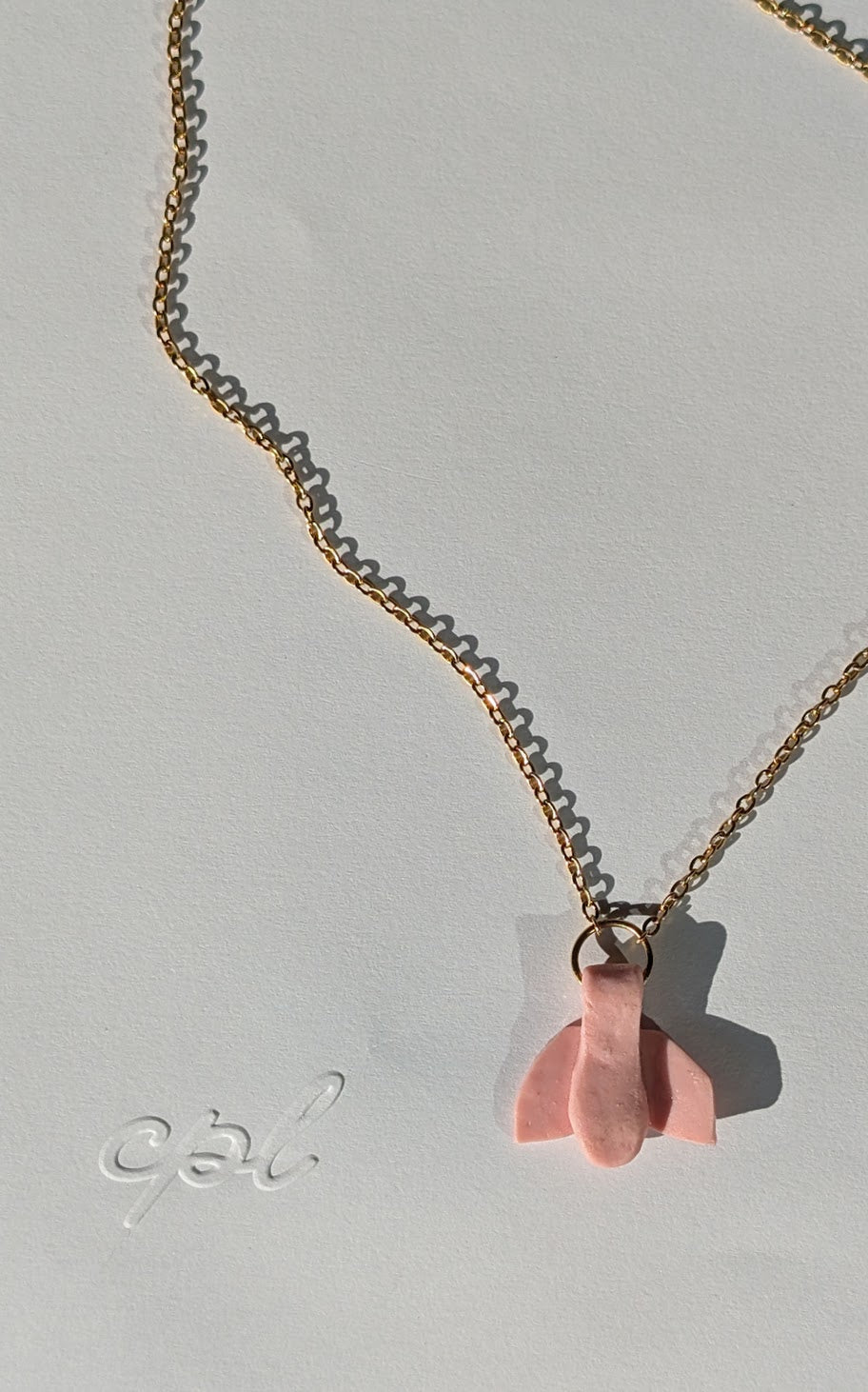 Golden Dot Pink Moth